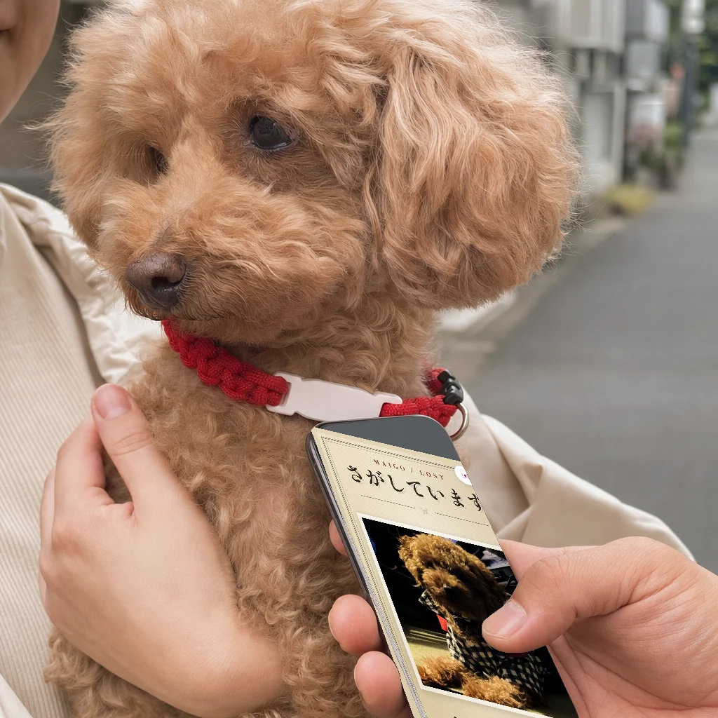 かざすと飼い主さんに繋がります